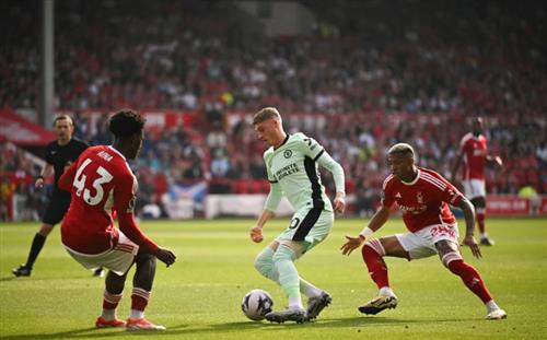 Ultimate Guide to Win Bet APK Download and Use